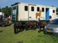 /album/menrit-04-06-2011/zeeuwse-menrit-juni-2011-003-jpg/